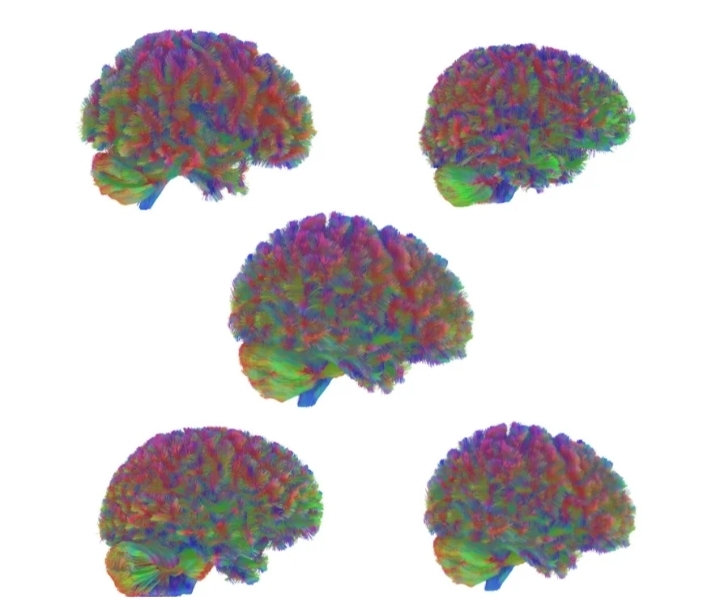 zbulimi-i-ri-rrezon-teorite-e-vjetra-adoleshenca-nis-9-vjec-dhe-mbaron-ne-moshen-32-vjecare