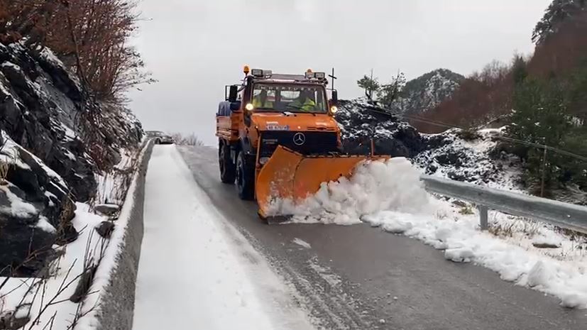 priten-reshje-bore-policia-u-ben-apel-shofereve-per-kujdes-ne-akset-me-lageshti-dhe-ngrica