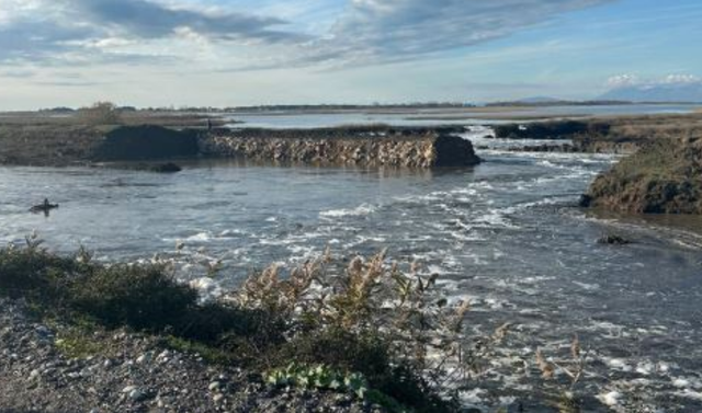 cahet-serish-argjinatura-ne-lagunen-e-kune-vain