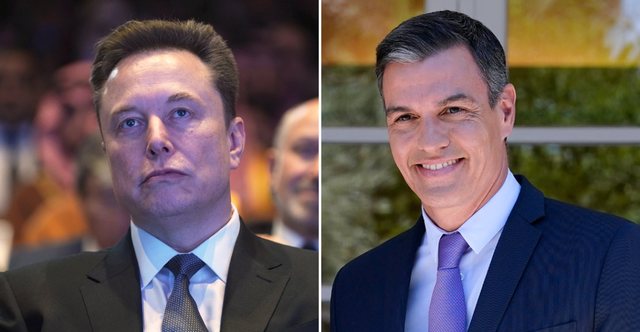 Tiran dhe fashist   Musk sulmon kryeministrin spanjoll Sanchez për planin e ndalimit të mediave sociale për fëmijët nën 16 vjeç
