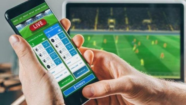 organizim-i-basteve-te-paligjshme-4-administratore-dhe-pronare-vihen-nen-hetim