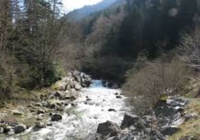 I moshuari gjendet i pajetë në përrua