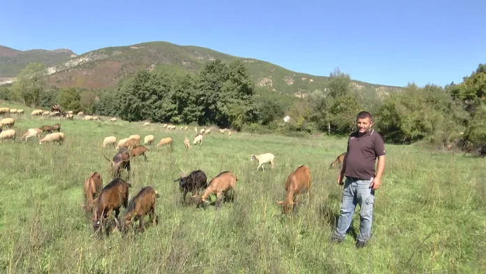 Miratohet Skema Kombëtare e Bujqësisë 2026  rriten subvencionet për fermerët