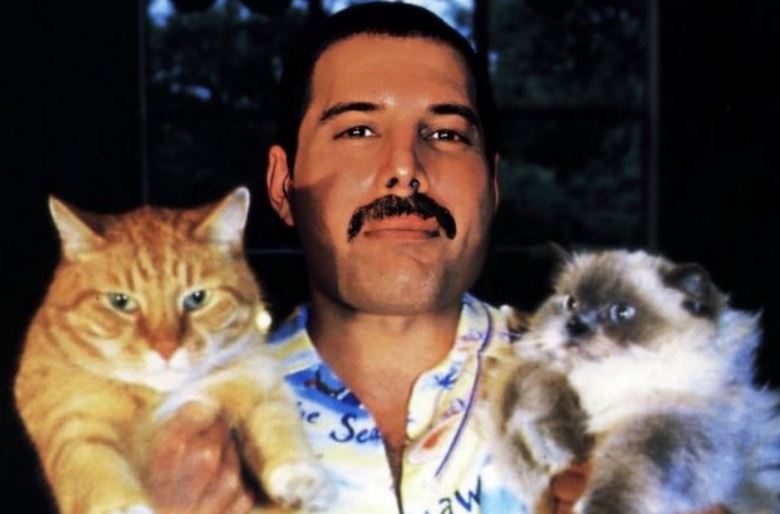 freddie-mercury-dhe-dashuria-e-tij-e-jashtezakonshme-per-macet