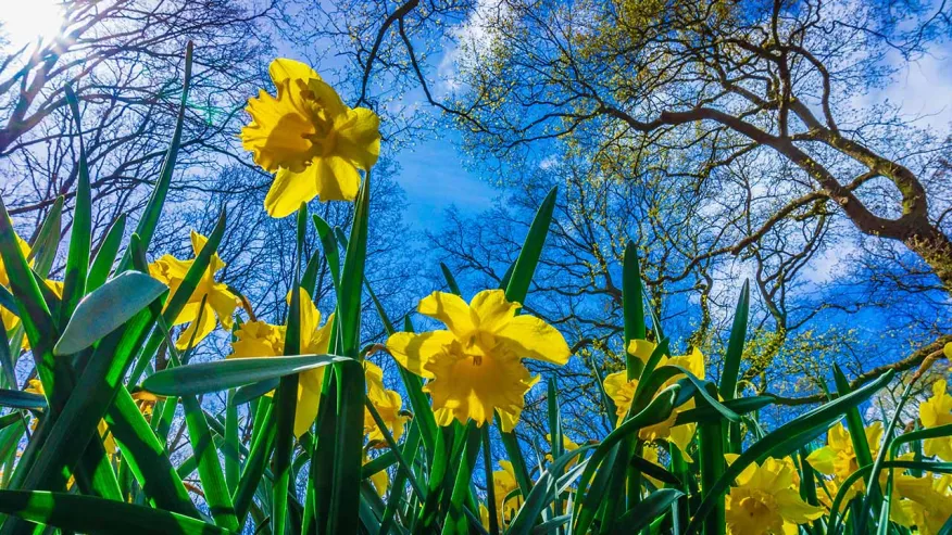 Parashikimi i motit për sot  12 mars 2026