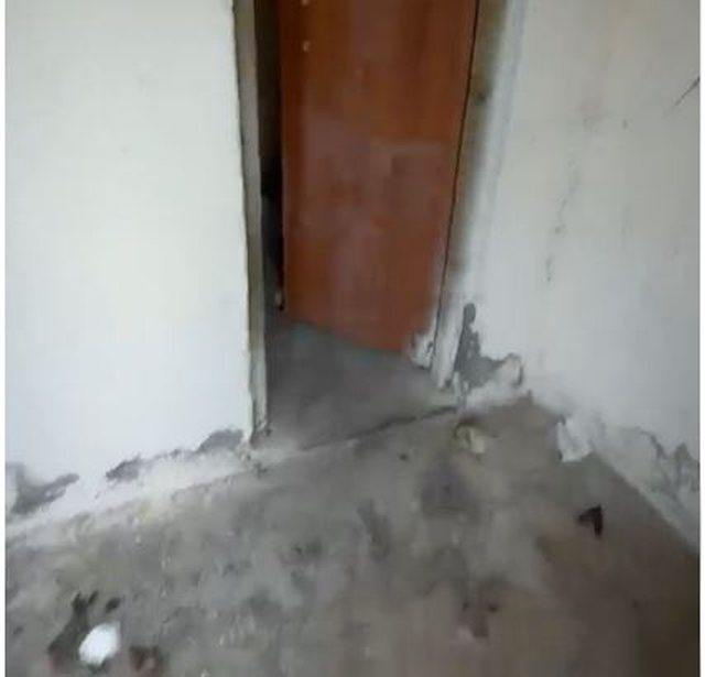 Korreshi publikon pamjet alarmante   Qenef dhe gjarpërinj  Nxënësit në Thanë të Lushnjës mësojnë në kushte çnjerëzore  