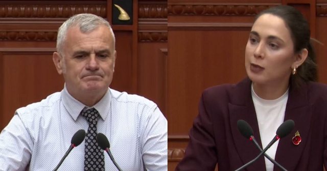 Debat me tone ironie në Kuvend  Deputetja socialiste  Na u shtofshin patronazhistët 