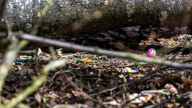 tragjedi-gjate-festes-se-pashkeve-ne-gjermani-tre-persona-humbin-jeten-pas-rrezimit-te-nje-peme-nga-era-e-forte