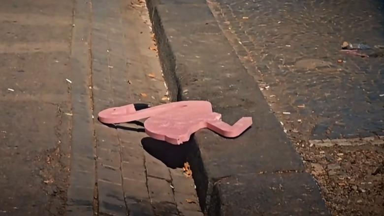 Rama  e nis ditën me flamingon e braktisur në bulevard  Protesta përfundoi me ndotje  jo me mesazh mjedisor 