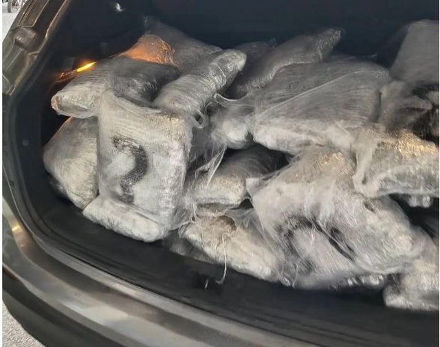 sekuestrohen-mbi-96-kilograme-droge-ne-kufirin-greko-shqiptar-arrestohet-nje-grua