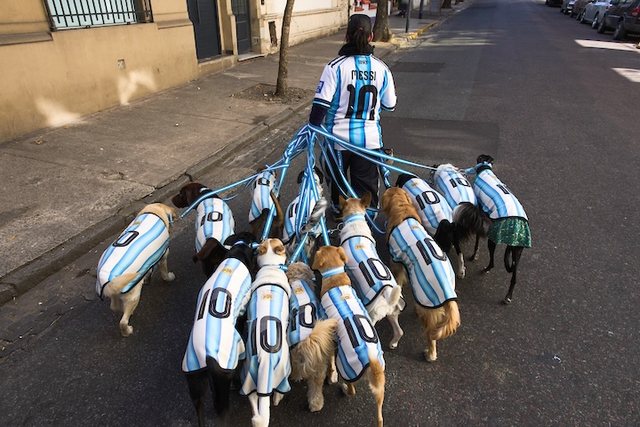 Argjentinë  një foto që kap shpirtin e një kombi të dashuruar pas futbollit