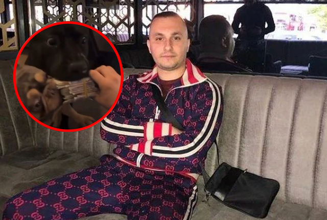 Shqiptari sfidon dëbimin nga Britania  shfaqet në Instagram duke ushqyer qentë me paund