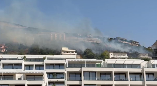 Zjarr në zonën e Ujit të Ftohtë në Vlorë  flakët favorizohen nga era dhe temperaturat e larta