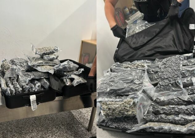 Linja direkte Tiranë Toronto kthehet në bazë droge  Valixhet plot me  mall  zbulohen në aeroportin Nënë Tereza
