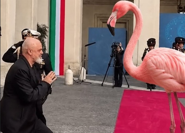  Besa s ka lidhje me sorrat dhe korbat   Rama reagon ndaj kritikave   Të vijnë për dorëheqje deri në vitin 2029 