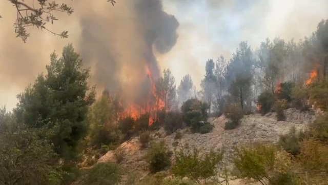 Kruja sërish në flakë  zjarri përfshin zonën e Bojes