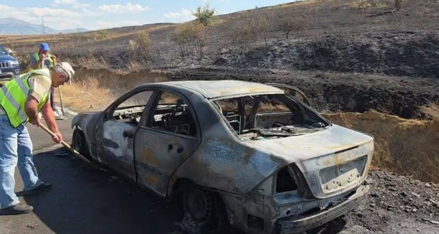 automjeti-u-ve-flaken-4-hektareve-me-kullote