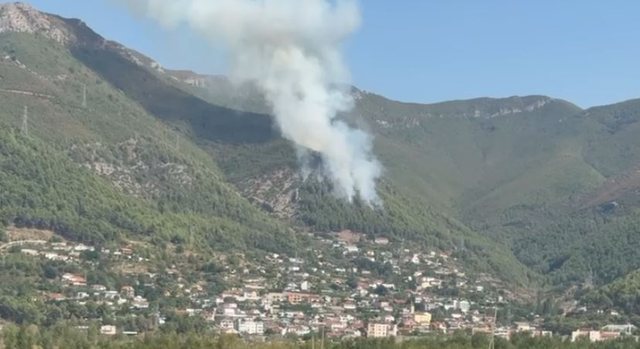 Zjarri përfshin masivin pyjor mbi Milot  flakët afrohen pranë banesave  ndërhyrje edhe nga ajri