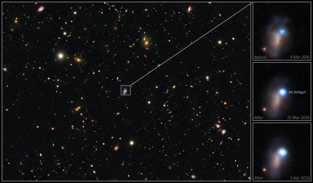 astronomet-kapin-per-here-te-pare-castet-e-para-te-vdekjes-se-nje-ylli-30-here-me-te-madh-se-dielli-por-ne-fund-ndodh-surpriza