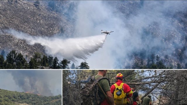 Shqipëria në flakë  Digjet Parku Kombëtar i Lurës  zjarri afrohet pranë banesave në Krujë