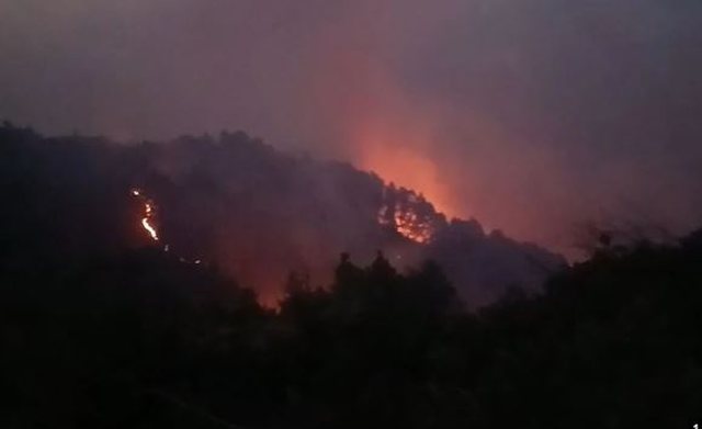 Zjarri në Panahor të Mallakastrës  vijon operacioni për izolimin e flakëve  pritet ndërhyrja nga ajri