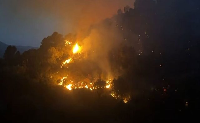 Zjarr i madh në Tepelenë  Digjen dhjetëra hektarë pyje dhe toka bujqësore  VIDEO 