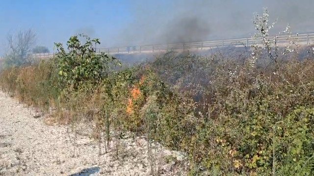 Zjarri në Bilaj të Krujës  digjen hektarë me toka dhe pemë  tymi mbulon autostradën Thumanë Kashar