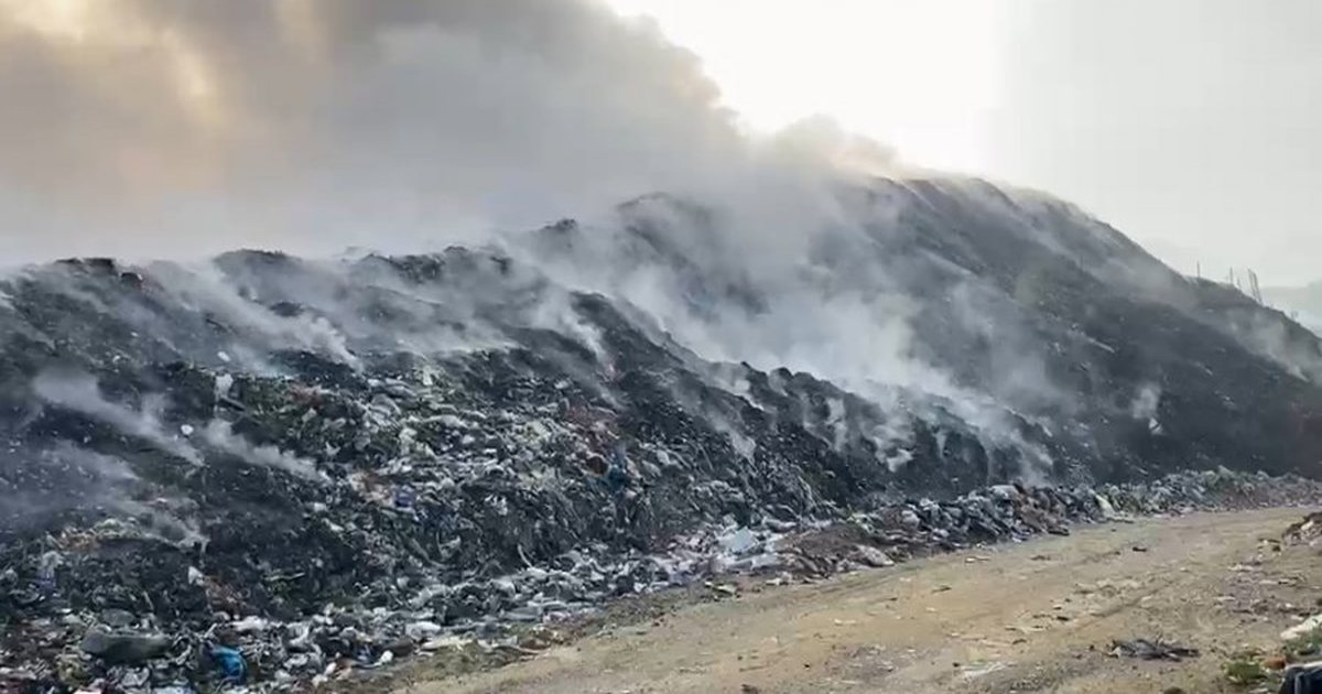zjarr-i-madh-ne-babice-te-vlores-digjen-dhjetera-ullinj-shekullore-shpeton-mrekullisht-nje-banese-vatra-nisi-ne-varrezat-e-fshatit-video