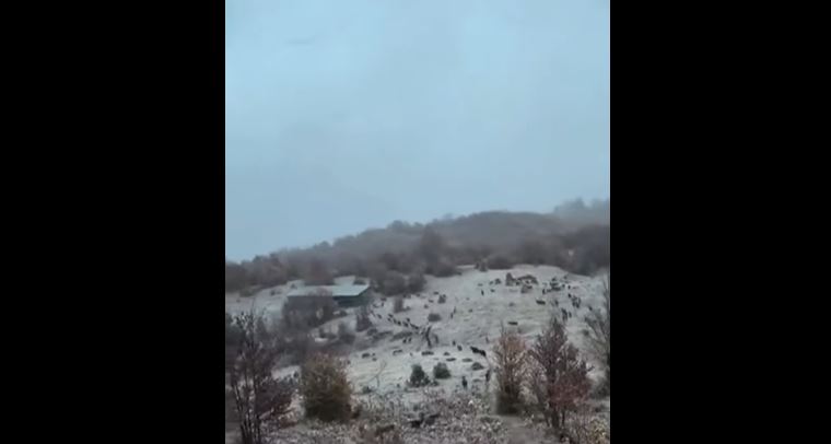 Dëbora zbardh bjeshkët e Mirditës  Ulja e temperaturave sjell peizazhin e parë dimëror